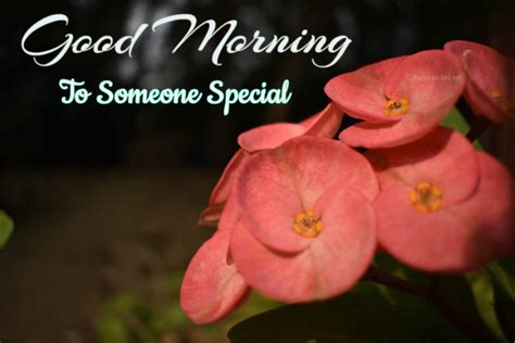 Good Morning Wishes For Someone Special