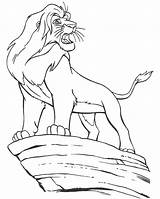 Simba Lion King Pages Coloring Colouring Adult Drawing Disney Scar Baby Cartoon Getdrawings Become Printable sketch template