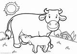 Colorir Desenhos Vacas Toros Byk Kolorowanka Byki Touro Kolorowanki Krowy Kuh Vaca Boi Ferdinando Mucca Animales Ausmalbild Oraz Pokoloruj Gratis sketch template