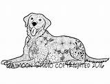 Labrador Retriever Lab sketch template
