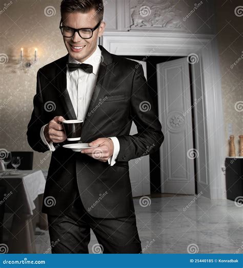 elegant men stock image image  cool elegance face
