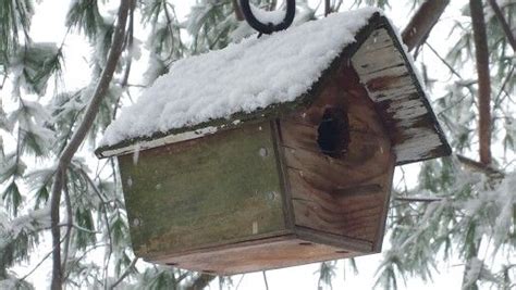winter birdhouse birdhouse garden inspiration winter outdoor decor home decor winter time