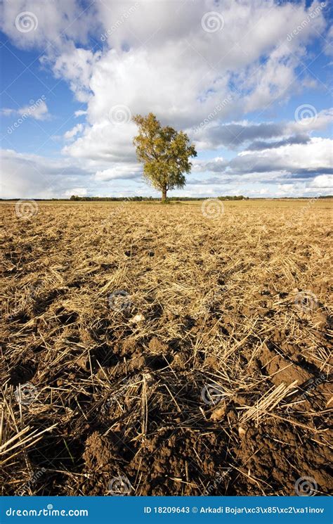drought hot summer stock image image  lonely view