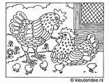 Kleurplaat Lente Kleurplaten Kuikentjes Kleuters Kleuteridee Voor Kippen Kramer Jaap Kleurboeken Tekeningen Downloaden Vogels sketch template