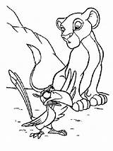 Lion King Zazu Coloring Simba Pages Talking Disney sketch template