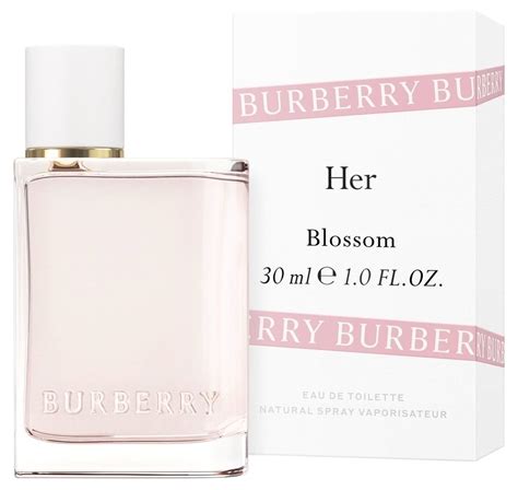 blossom von burberry meinungen duftbeschreibung