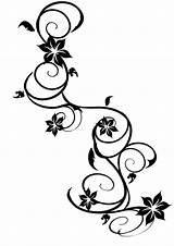 Vine Tattoo Designs Women Tattoos Tribal Flowers Flower Forearm Askideas Names Ankle sketch template
