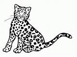 Cheetah Clipart Cartoon Coloring Pages Kids Animal Easy Clip Cheetahs Icons Gif Cliparts Personal Use Project Other sketch template
