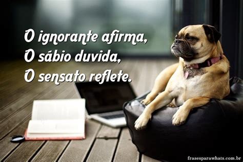 frases de reflexao top  melhores frases  whats