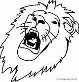Lion Coloring Pages Color Printable Face Roaring Tiger Sheet Lions Kids Animal Tigers King Procoloring Sheets Template Head African Found sketch template
