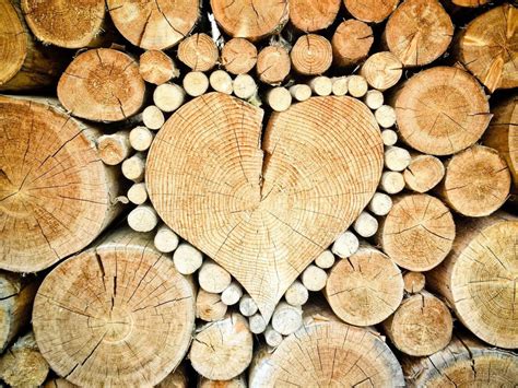 wat  douglas hout en wat zijn de voordelen van deze houtsoort