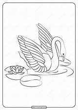 Swan Coloring Printable Pages Pdf Coloringbay sketch template