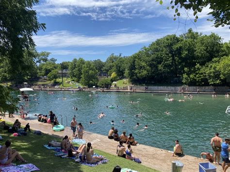 barton springs pool ruled safe  toxic algae detected  barton