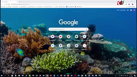 google chrome achtergronden en themas computer idee