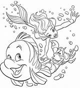 Duyung Putri Mewarnai Princess Arielle Silakan Mendownload Tombol Semua Flounder Coloringpages sketch template