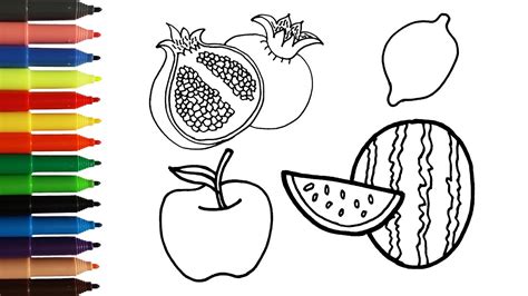 draw fruits fruits drawing part  drawing  colouring