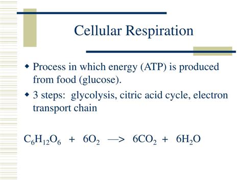 ppt cell processes review powerpoint presentation id 6634846