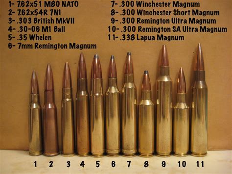 cartridges firearms cerca  google munition bewaffnung jagd