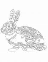Erwachsene Hase sketch template