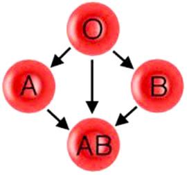 deepak blood groups types explained