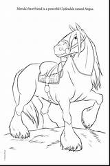 Clydesdale Pages Horse Coloring Template Drawing sketch template