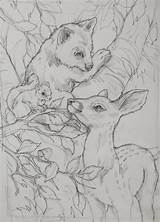 Coloring Pages Jody Bergsma Drawings Adult Patterns Animal Drawing Colouring Pirografia Books Pyrography Bear Sketches Wood Burning Pencil Di Deer sketch template
