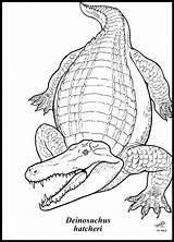 Deinosuchus Postosuchus sketch template