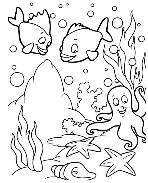 ocean life coloring pages    print