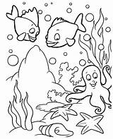 Coloring Fish Pages Sea Animal sketch template