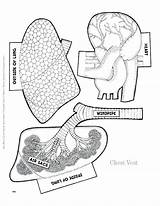 Anatomical Getdrawings sketch template
