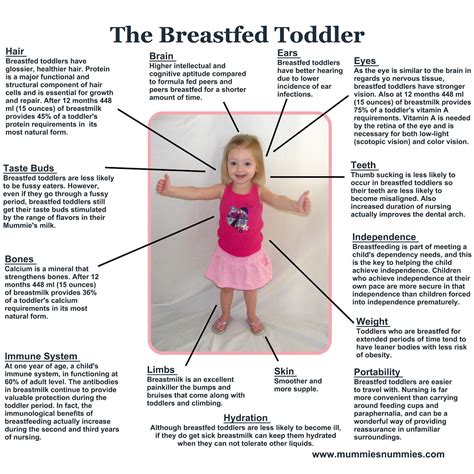 Benefits Of Extended Breastfeeding
