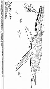 Liopleurodon Colouring Prehistoric sketch template
