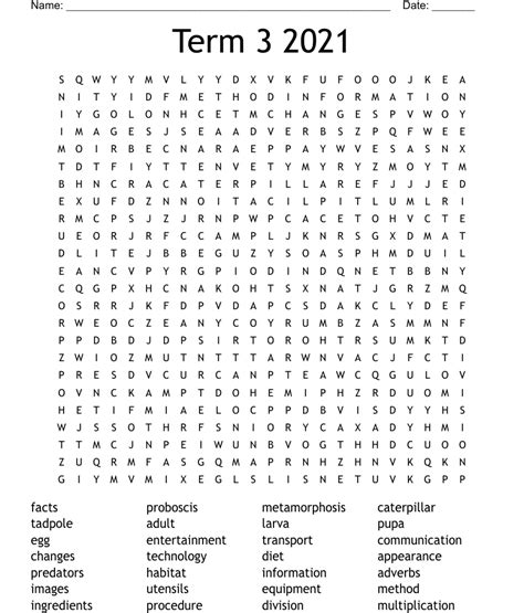 term   word search wordmint