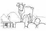 Goat Coloring Pages Colorkid sketch template