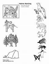 Habitat Matching Animal Activity High Version Printing Resolution Exploringnature sketch template