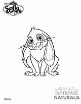 Clover Bunny Animé Coloriage sketch template