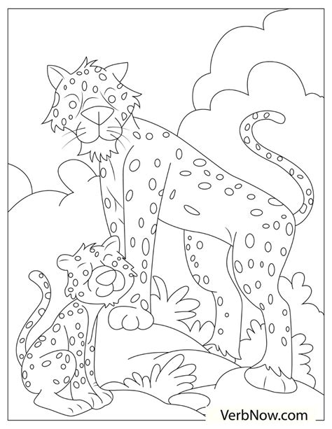cheetah coloring pages   printable  verbnow