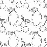 Limoni Colorare Cherries Lemons Sano Frutti Alimento Ciliege sketch template