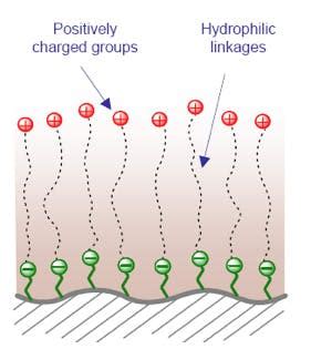 hydrophilic interaction liquid chromatography hilic