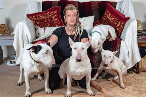 Bull Terriers Husband Makes Wife Choose Between Him And