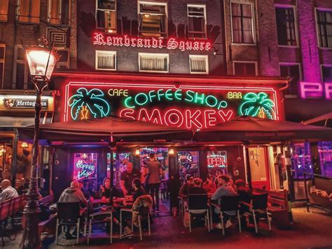 coffeeshops  amsterdam smokeys coffeeshop lilly likes amsterdam