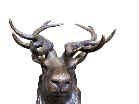 large bronze stag scottish highlands deer sculpture stags  century  sale  stdibs