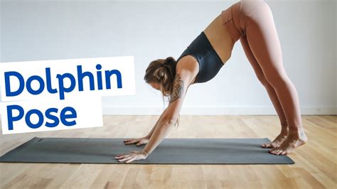 dolphin plank pose dolphin plank pose benefits fitness