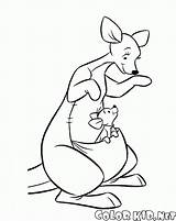 Kanga Roo Coloring Pages Pooh Winnie Colorkid Kango Sketch Template sketch template