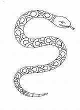 Zentangles Snakes Serpientes Lizards sketch template