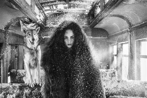 the girl who cried wolf david yarrow photography