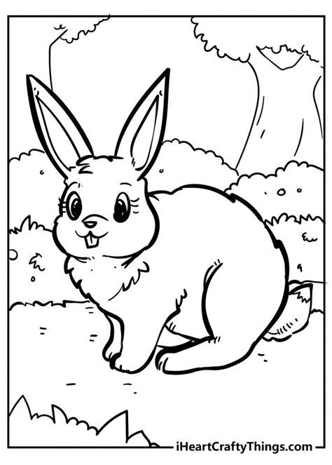 rabbit coloring pages   printables