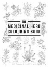 Colouring Herb Book Medicinal Cover Plants Common sketch template