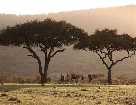 bushtops hopping visit bushtops camps  mara serengeti