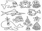 Creatures Coloring Sea Pages Albanysinsanity Ocean sketch template